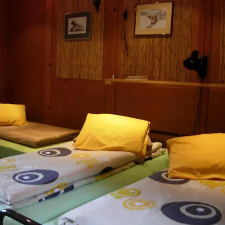Reichenbachlodge 山林小屋